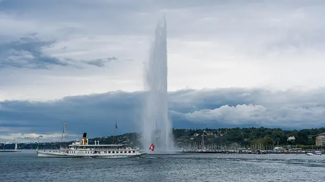 Comment intégrer un système d'irrigation économe en eau dans votre jardin