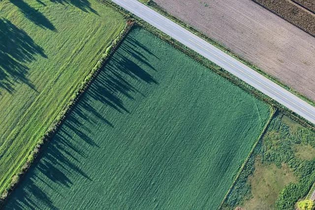 Comment choisir un système d'irrigation adapté à votre jardin