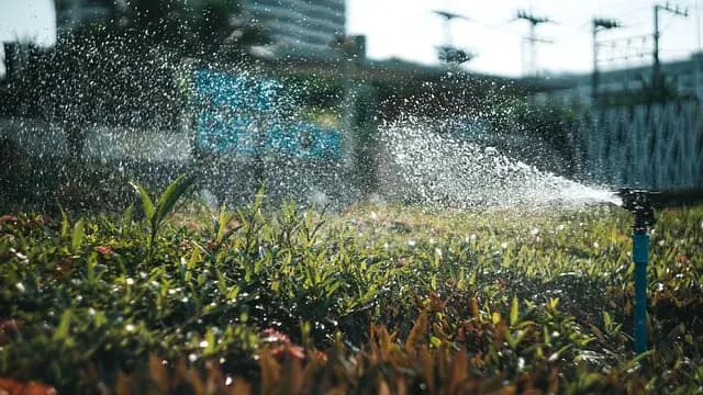 Les systèmes d'irrigation à capteurs : fonctionnement et avantages