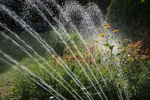 Comment choisir le bon système d'irrigation pour votre jardin