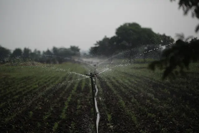 Tout savoir sur les systèmes d'irrigation intelligents