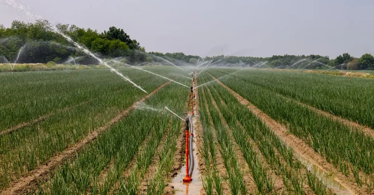 Les critères essentiels pour un système d'irrigation efficace