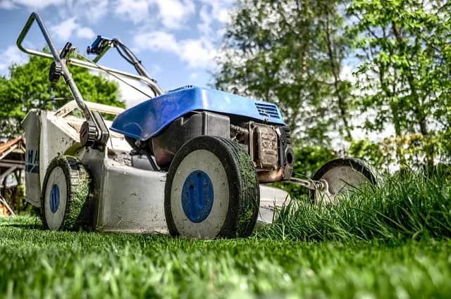 Les étapes clés pour concevoir un système d'irrigation efficace