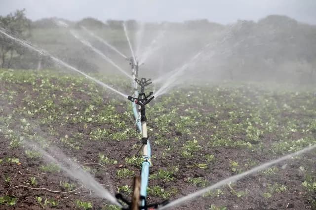 Les erreurs à éviter lors de l'installation d'un système d'irrigation