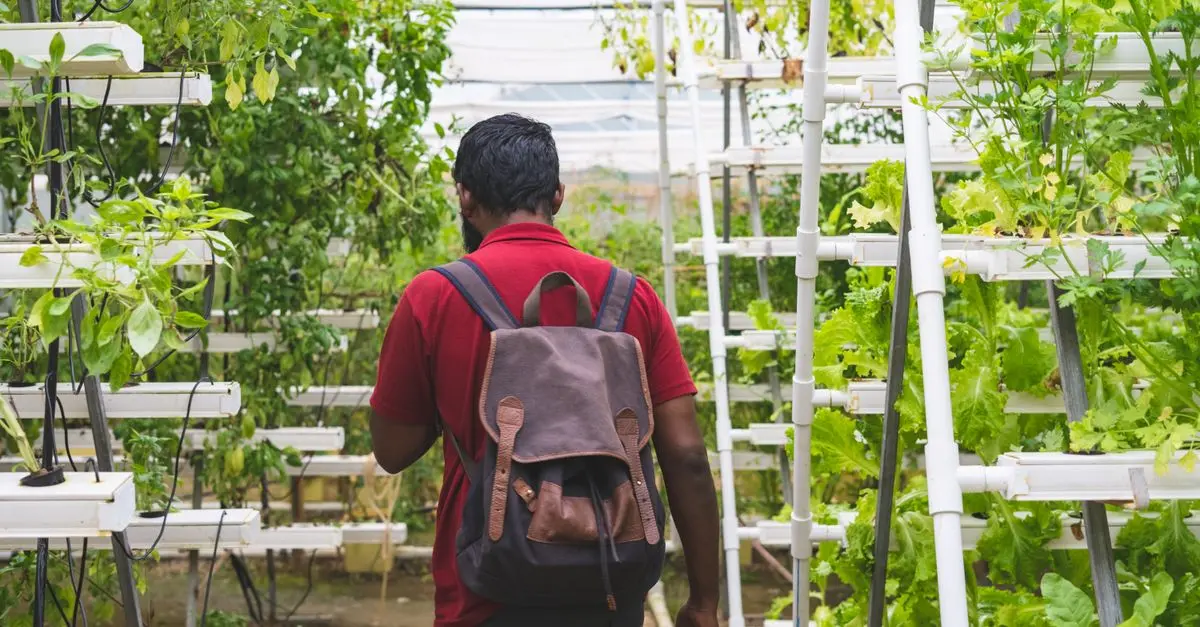 Les avantages des systèmes d'irrigation verticales dans votre jardin