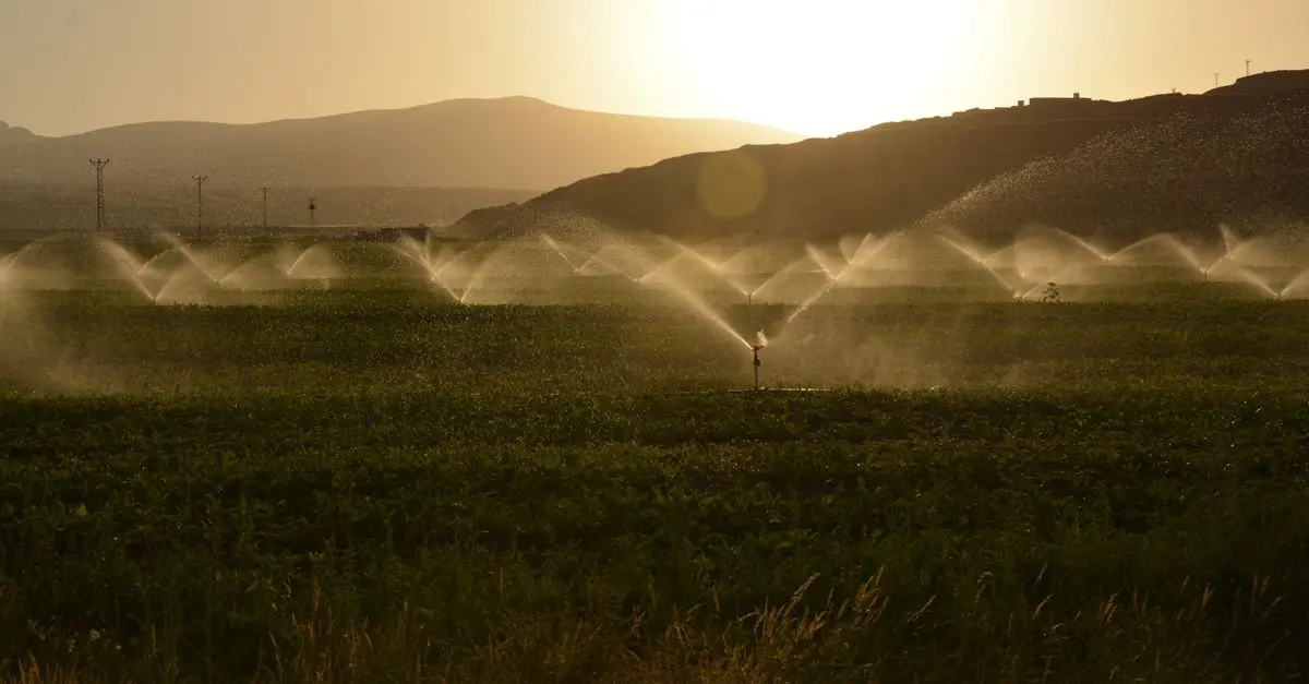 Quel système d'irrigation convient à votre terrain ?