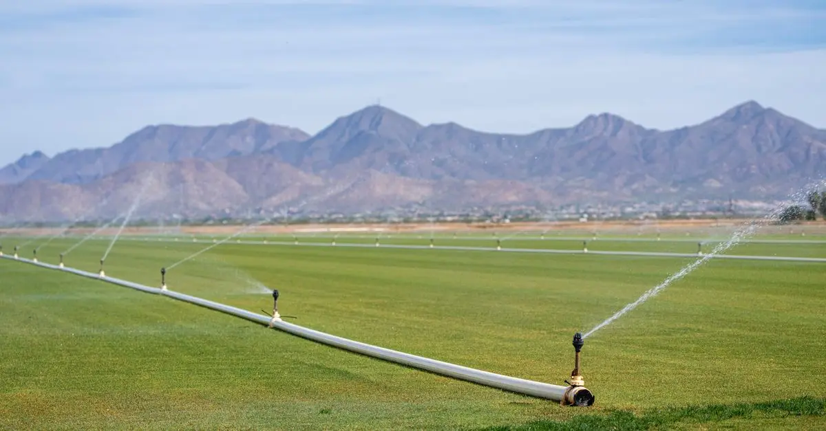 Consulter un expert pour la configuration optimale d'irrigation
