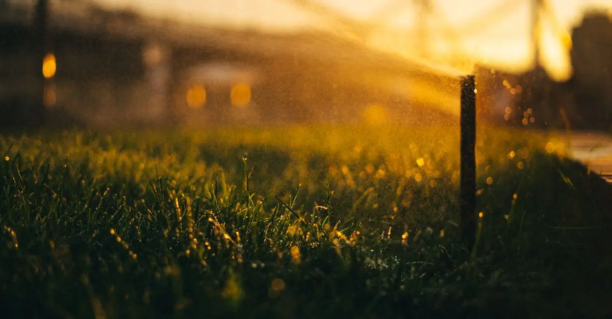 Les différents systèmes d'irrigation : lequel choisir pour votre jardin ?