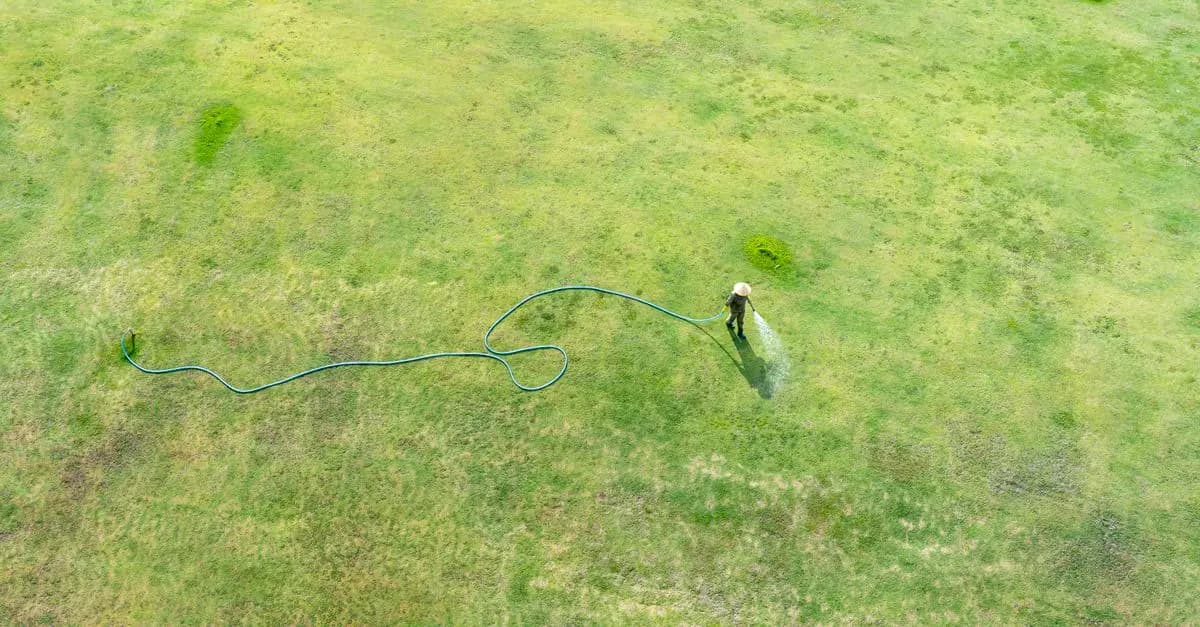 Comment concevoir un système d'irrigation efficace pour votre jardin