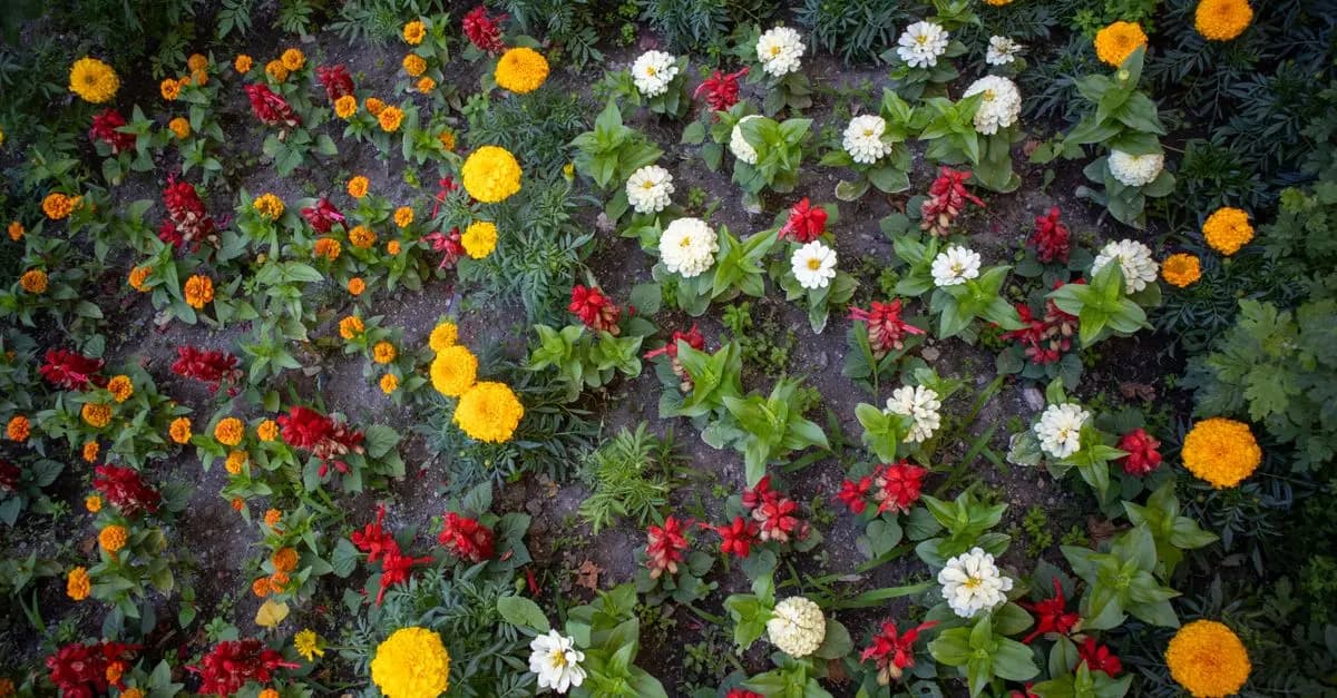 Comment choisir un système d'irrigation adapté à votre jardin