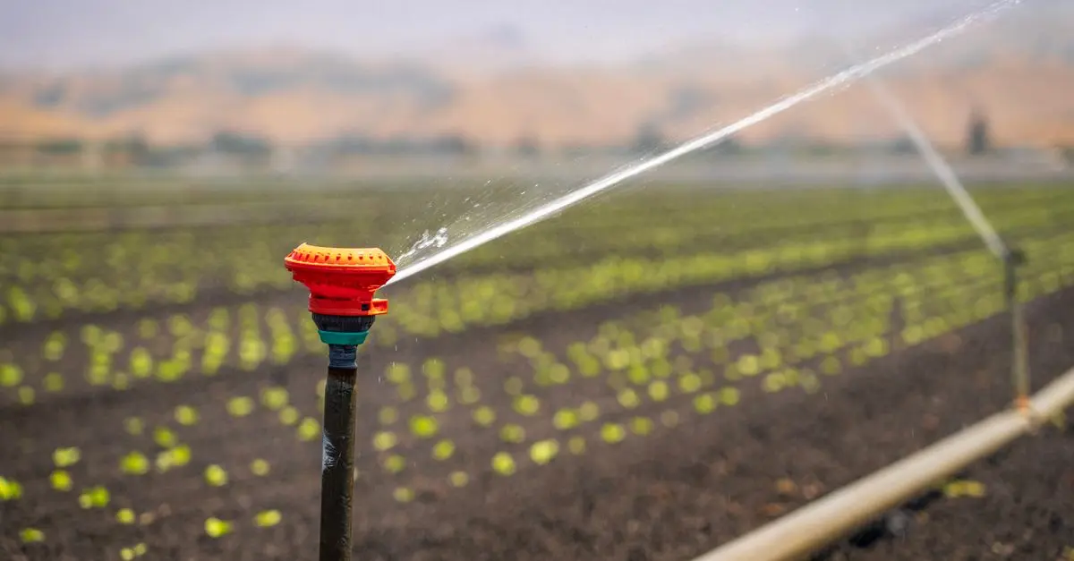 Guide pratique pour installer un système d'irrigation enterré