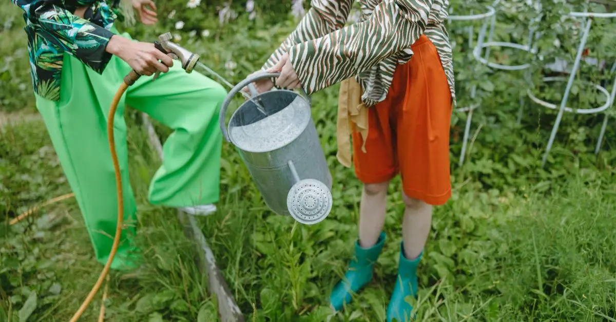 Comment choisir un système d'irrigation adapté à votre jardin