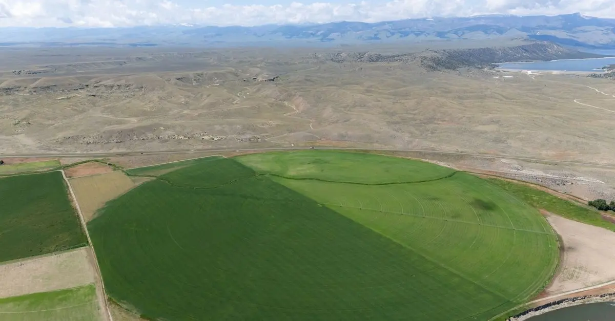 Les erreurs à éviter lors de l'installation d'un système d'irrigation