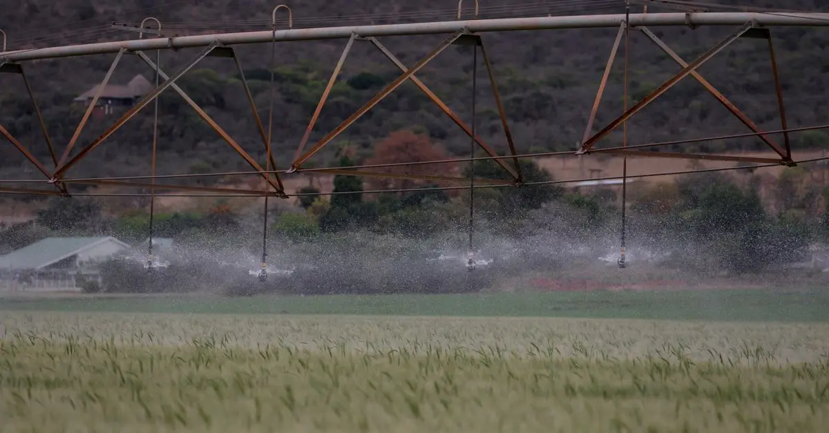 Comparatif des systèmes d'irrigation pour petites cultures