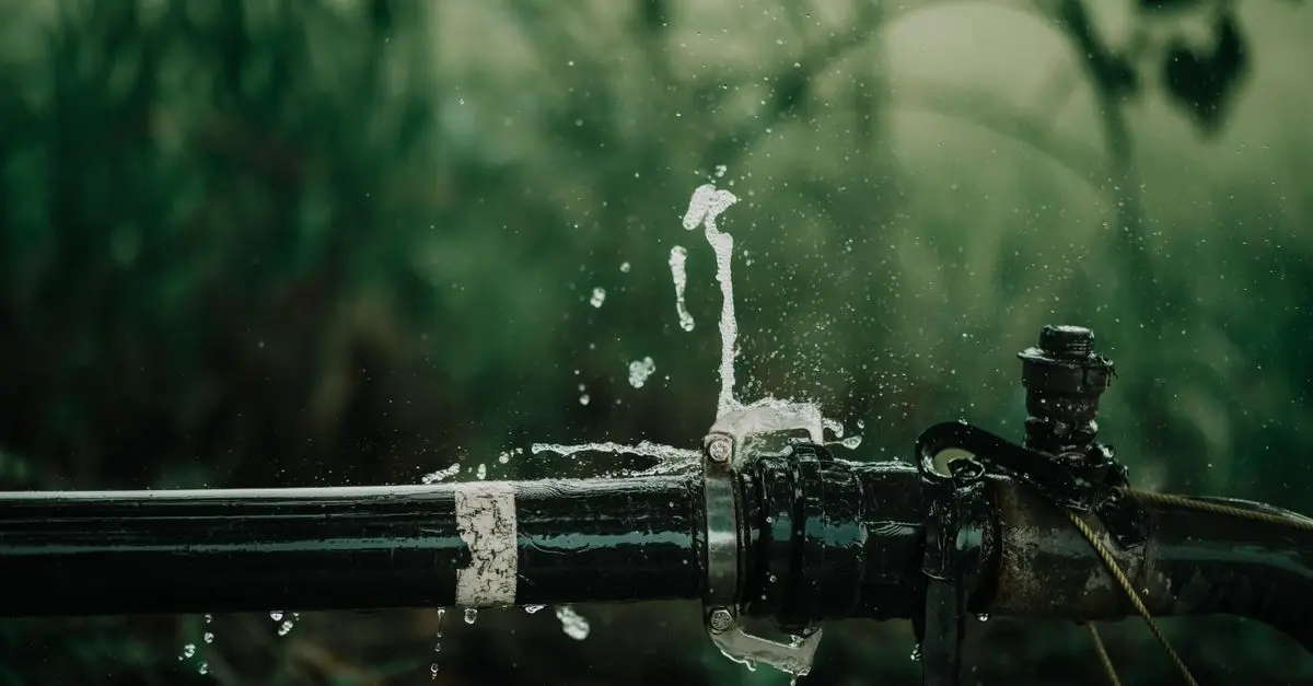 Comment intégrer un système d'irrigation durable dans votre jardin