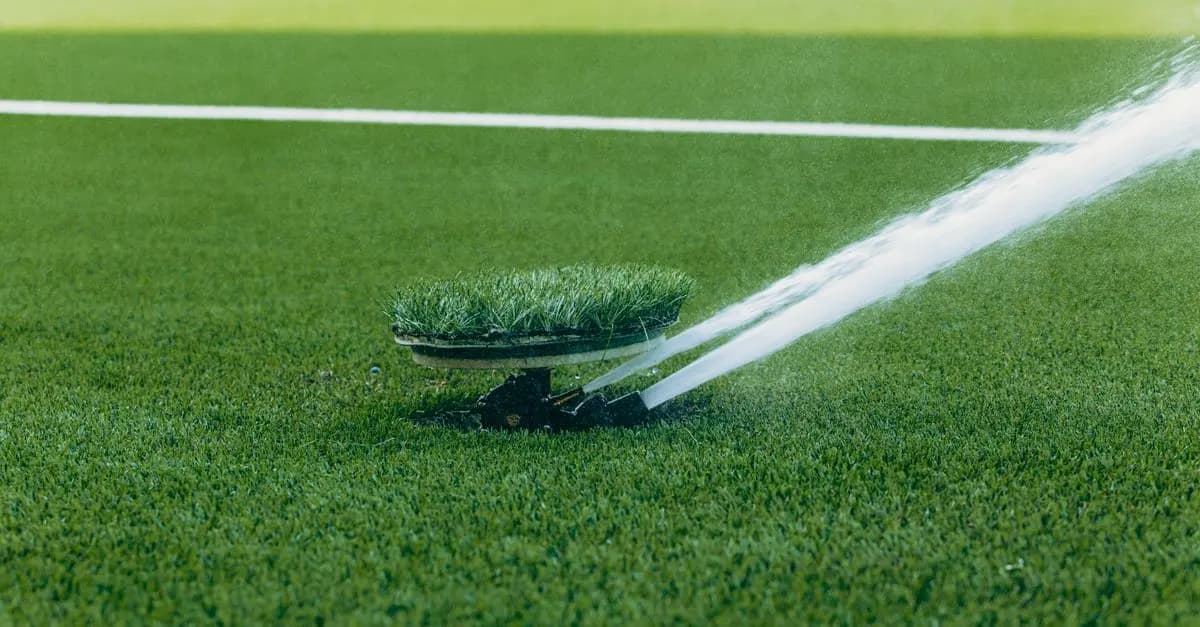 Système d'irrigation automatique : avantages et inconvénients