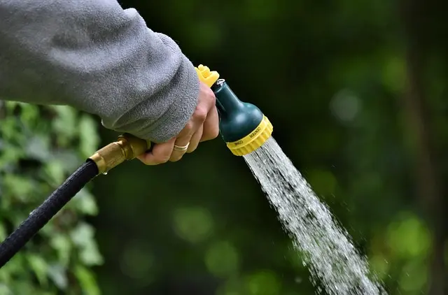 Comment choisir un système d'irrigation adapté à votre jardin