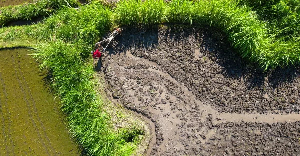 Comment choisir le bon système d'irrigation pour votre jardin
