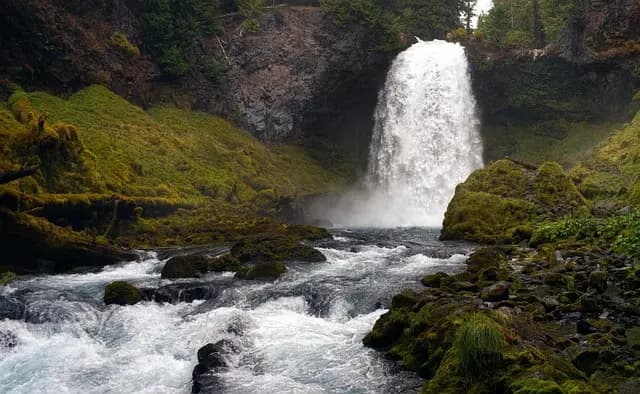 Les erreurs à éviter lors de l'installation d'un système d'irrigation