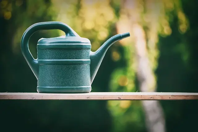 Les meilleures pratiques pour maintenir un système d'irrigation