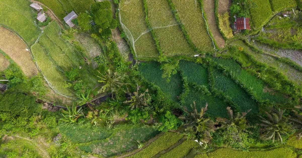 Les meilleurs systèmes d'irrigation pour un jardin écologique