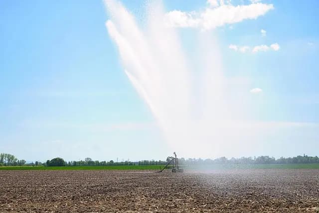 Les systèmes d'irrigation verts : quand l'écologie rencontre l'efficacité