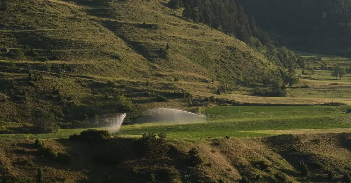 Les différents types de systèmes d'irrigation à connaître