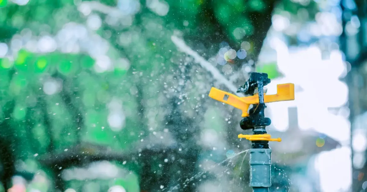 Comment choisir le bon système d'irrigation pour votre jardin