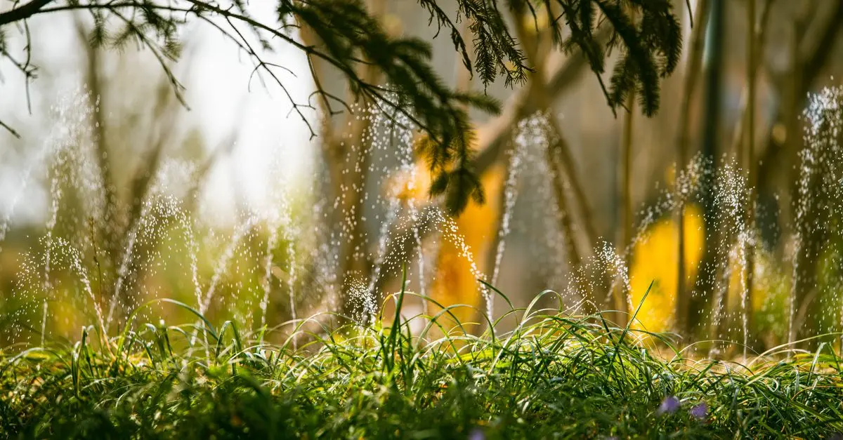 Les meilleures pratiques pour un système d'irrigation durable