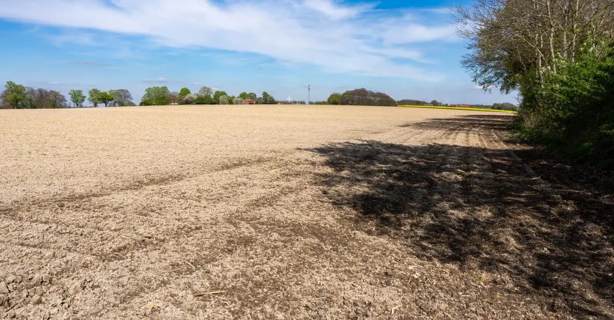 Notre avis sur les capteurs d'humidité en irrigation
