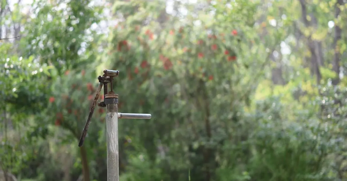 Comment choisir une pompe pour votre système d'irrigation
