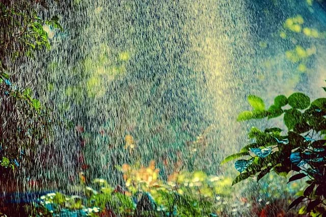 Comment choisir le meilleur système d'irrigation pour votre jardin
