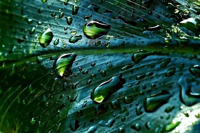 Système d'irrigation durable : Avantages et méthodes d'implémentation