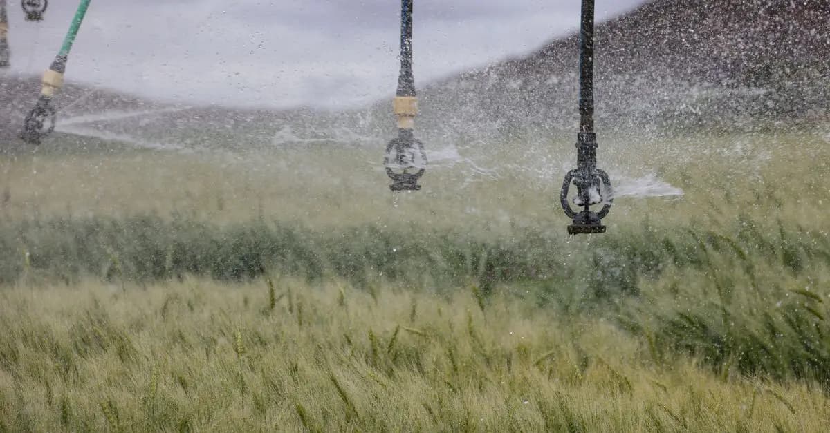 Comment planifier efficacement votre système d'irrigation