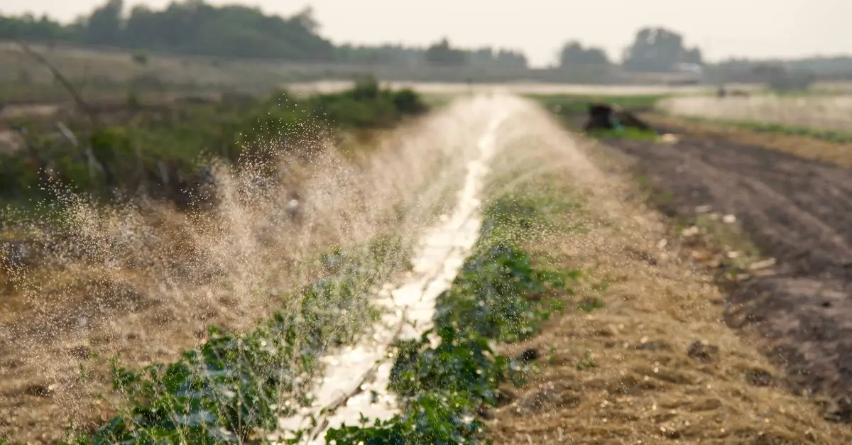 Les bienfaits des systèmes d'irrigation en milieu urbain