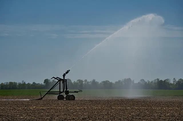 Les avantages des systèmes d'irrigation automatisés pour votre jardin