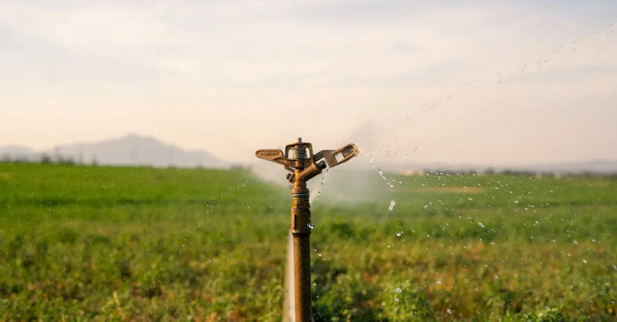 Révisions périodiques d'un système d'irrigation : pourquoi et comment