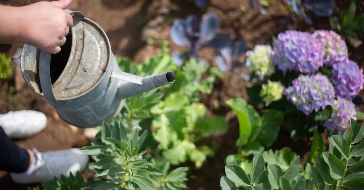 Quel système d'irrigation pour un jardin écologique ?