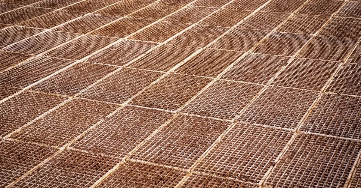 Les systèmes d'irrigation durables : comment les choisir ?