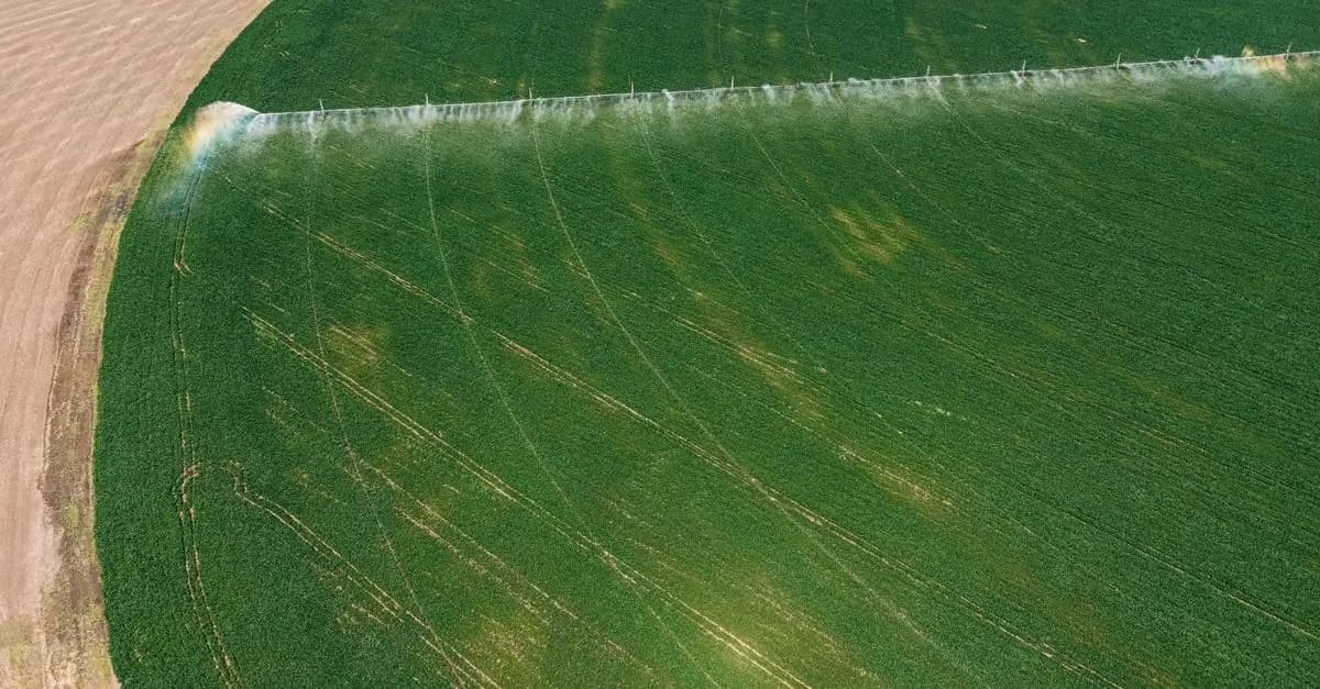 La gestion de l'eau dans les systèmes d'irrigation modernes