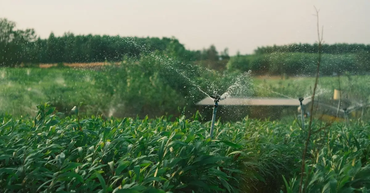 Les tendances des systèmes d'irrigation en 2026