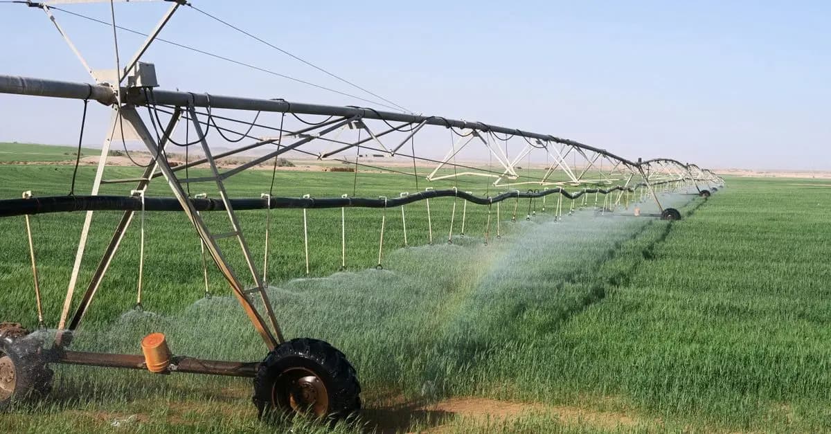 Qu'est-ce qu'un système d'irrigation à pivot central ?