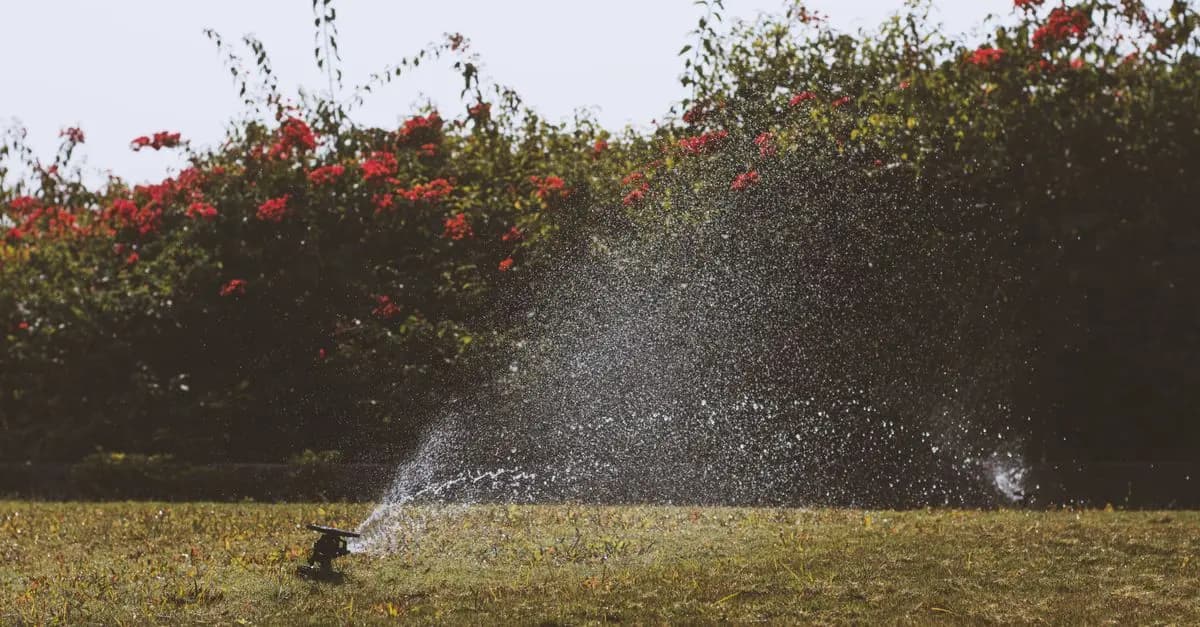 Comment choisir le bon programmateur pour votre irrigation