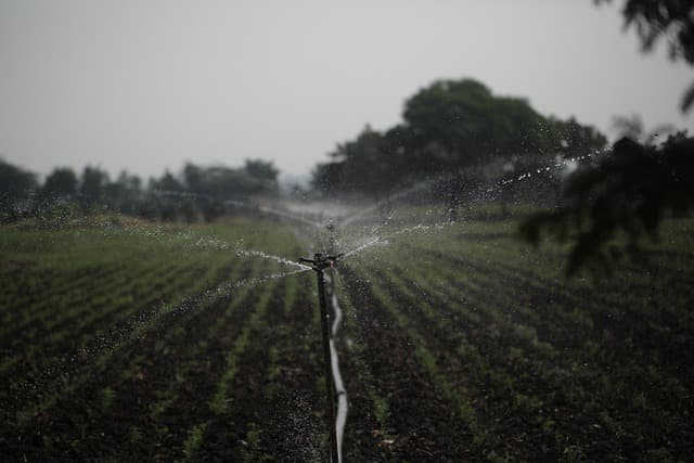 Système d'irrigation durable : Comment le concevoir efficacement