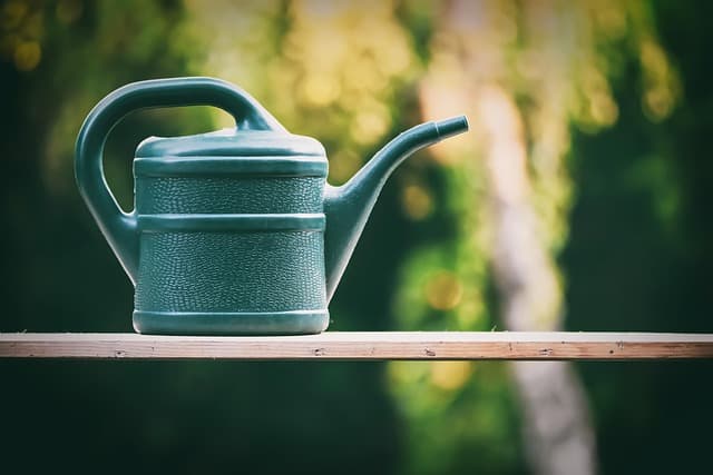 Les systèmes d'irrigation enterrés : avantages et installation