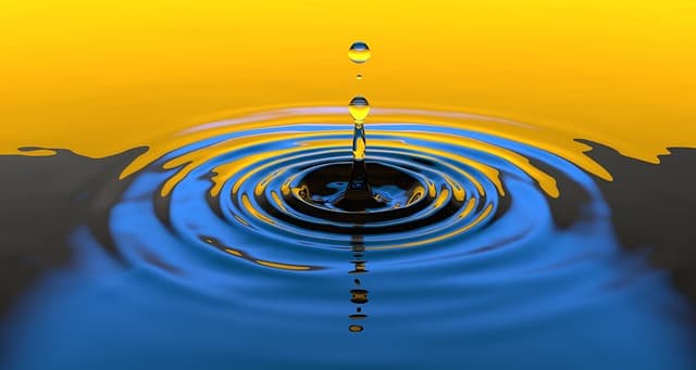 Les bienfaits d'un système d'irrigation à goutte-à-goutte