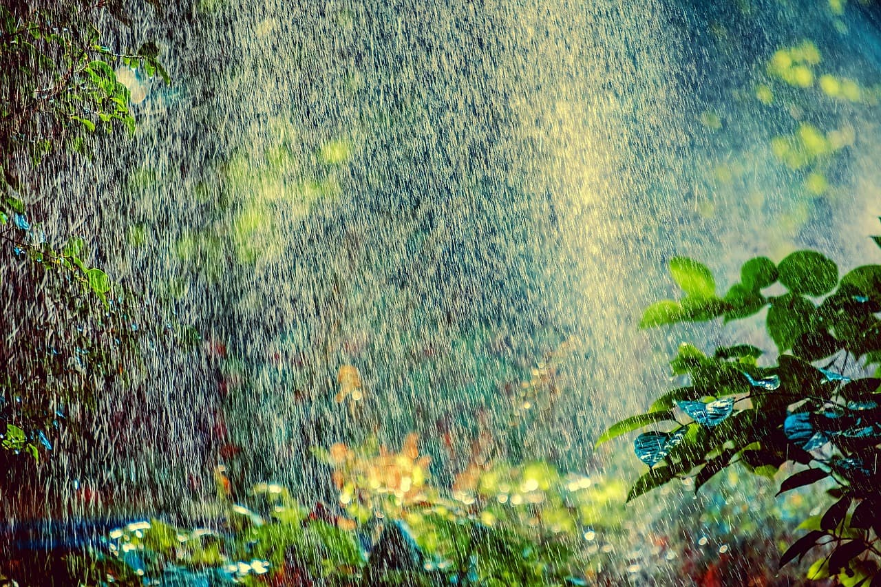 Les avantages des systèmes d'irrigation automatisés pour votre jardin