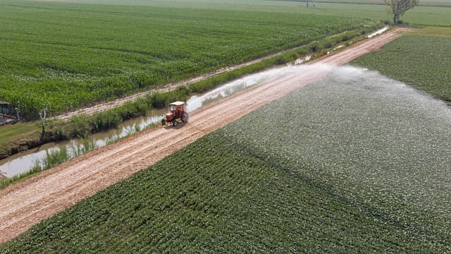 Comment choisir un système d'irrigation adapté à votre jardin