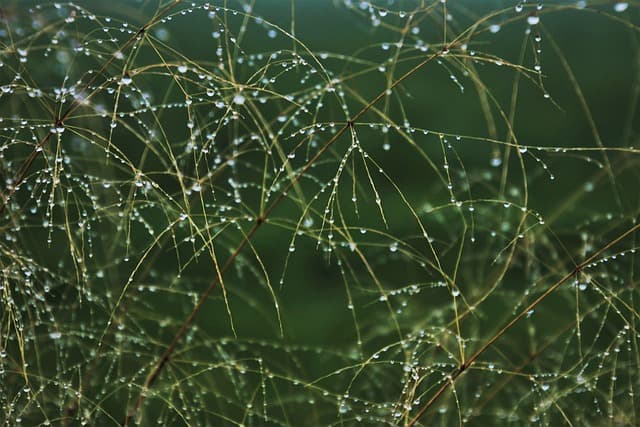 Les erreurs les plus courantes lors de l'installation d'un système d'irrigation