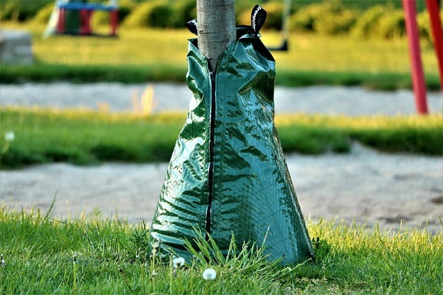 Les meilleures solutions pour une irrigation économe en eau